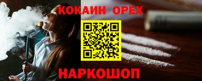 гашик Кингисепп