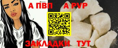 гашик Кингисепп