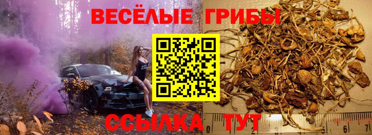 Галлюциногенные грибы GOLDEN TEACHER Кохма